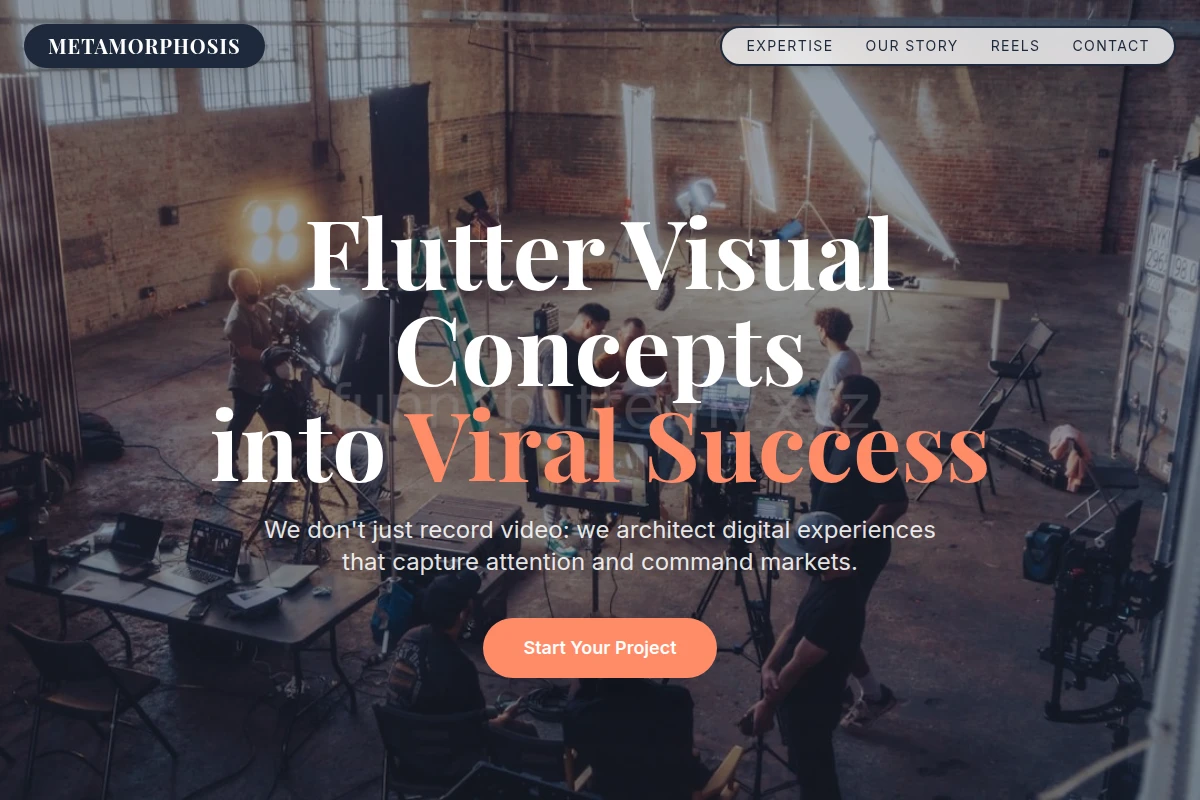 Vector Video Production